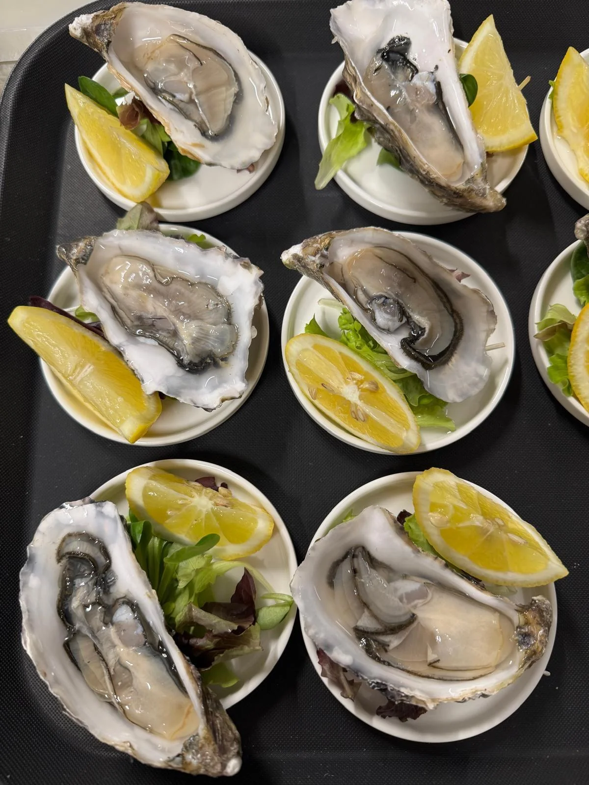 Ostriche fresche con limone